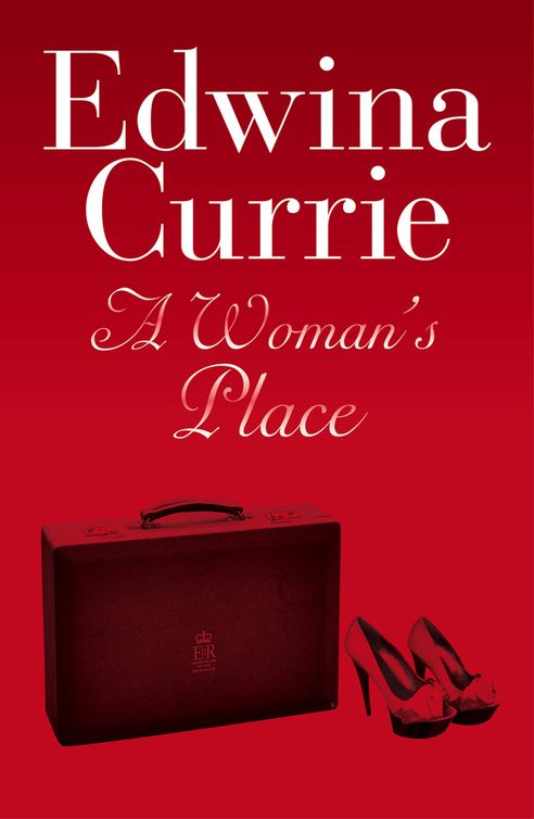 A Woman's Place (2012) by Edwina Currie