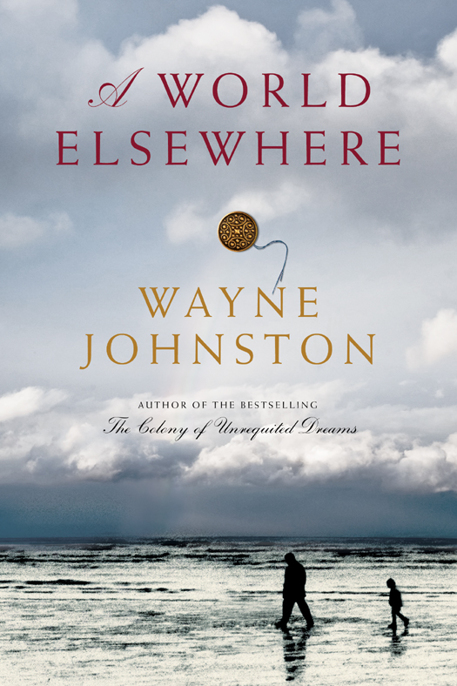 A World Elsewhere by Wayne Johnston