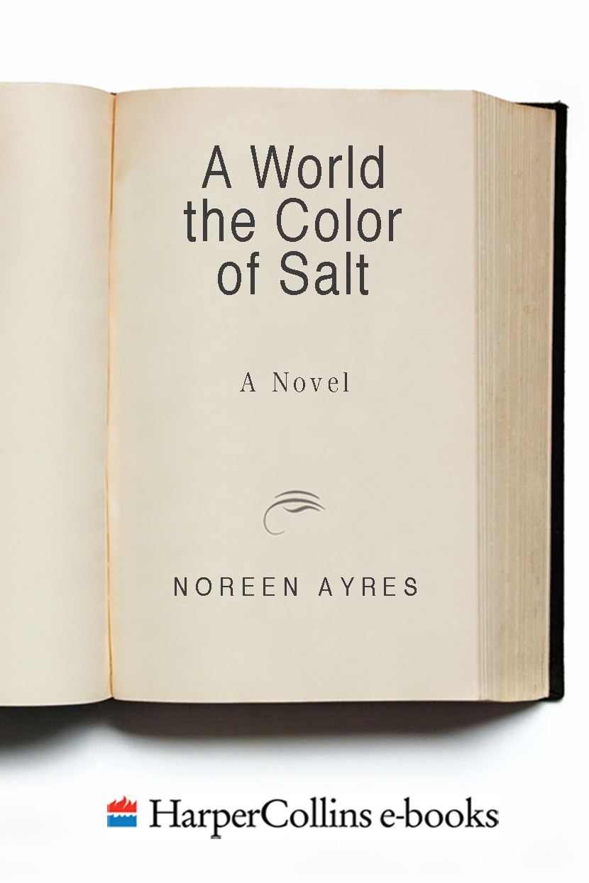 A World the Color of Salt by Noreen Ayres