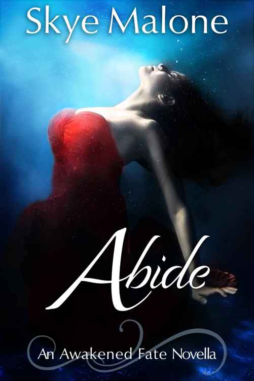 Abide: An Awakened Fate Novella