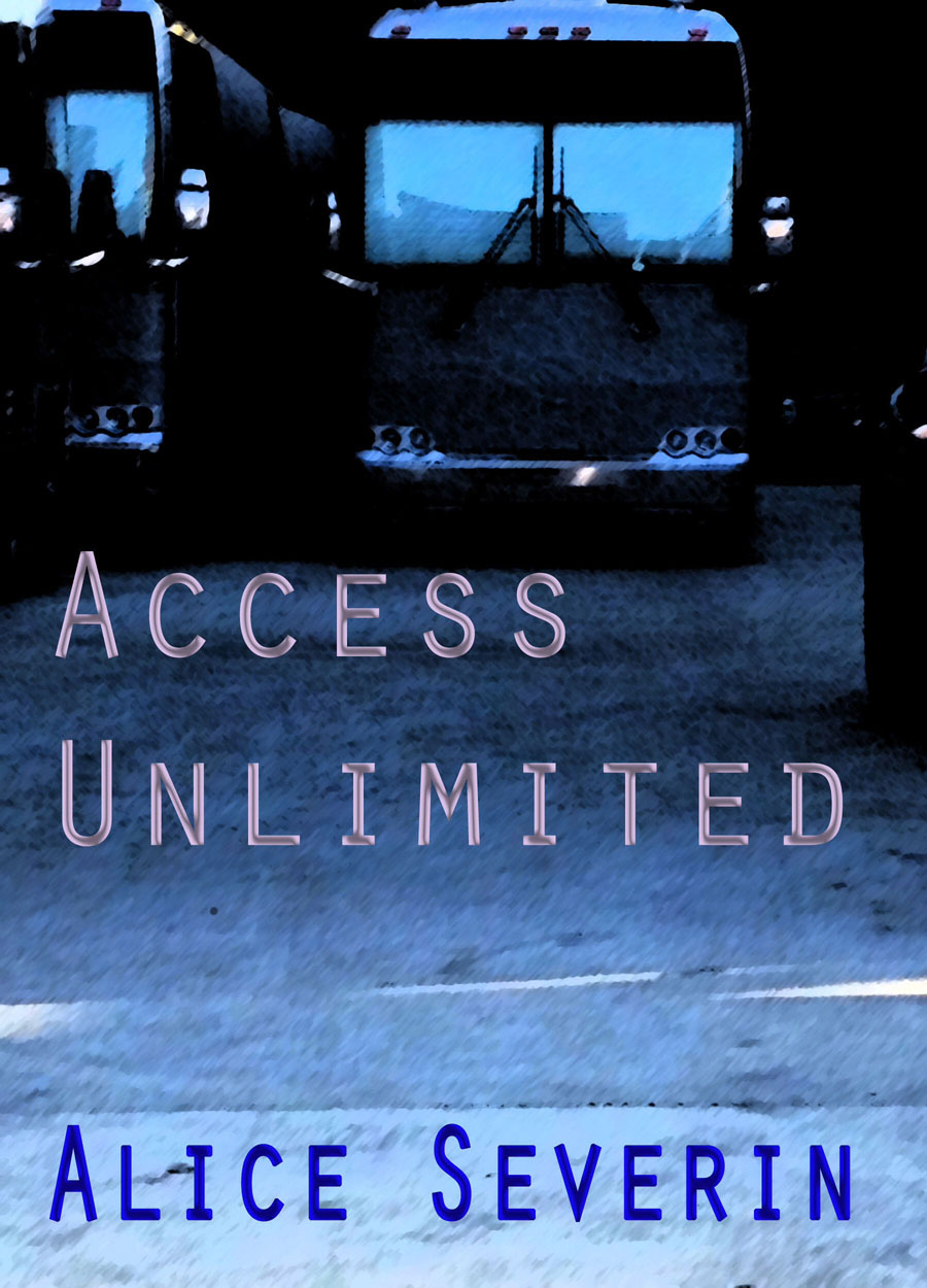 Access Unlimited (2014) by Alice Severin