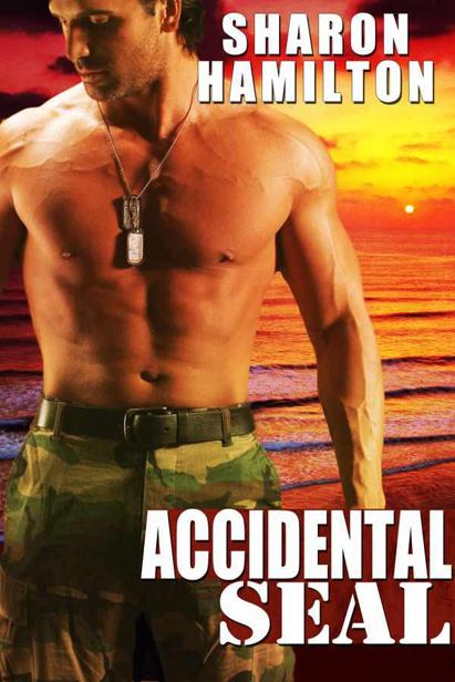 Accidental SEAL (SEAL Brotherhood #1) by Hamilton, Sharon