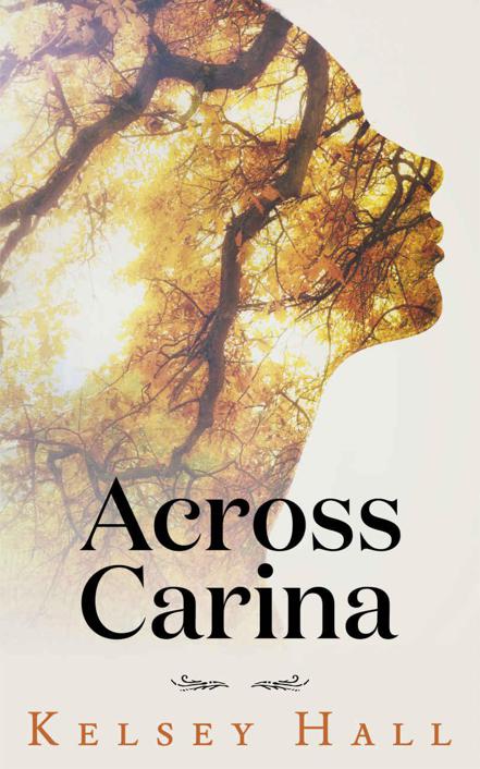 Across Carina by Kelsey Hall