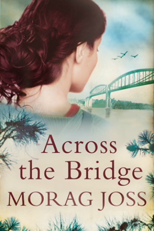 Across the Bridge by Morag Joss