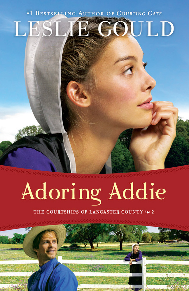 Adoring Addie (2013) by Leslie Gould