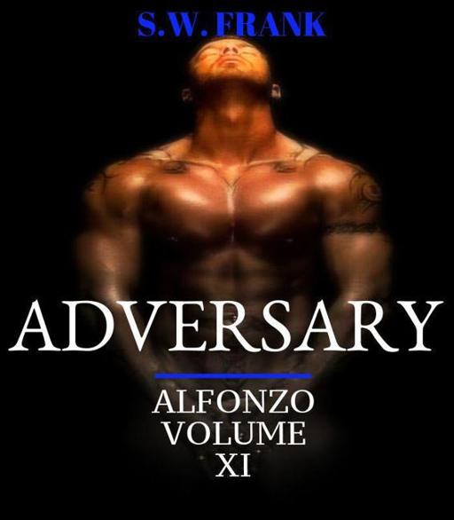 Adversary by S. W. Frank