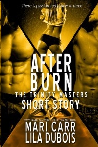 After Burn by Mari Carr
