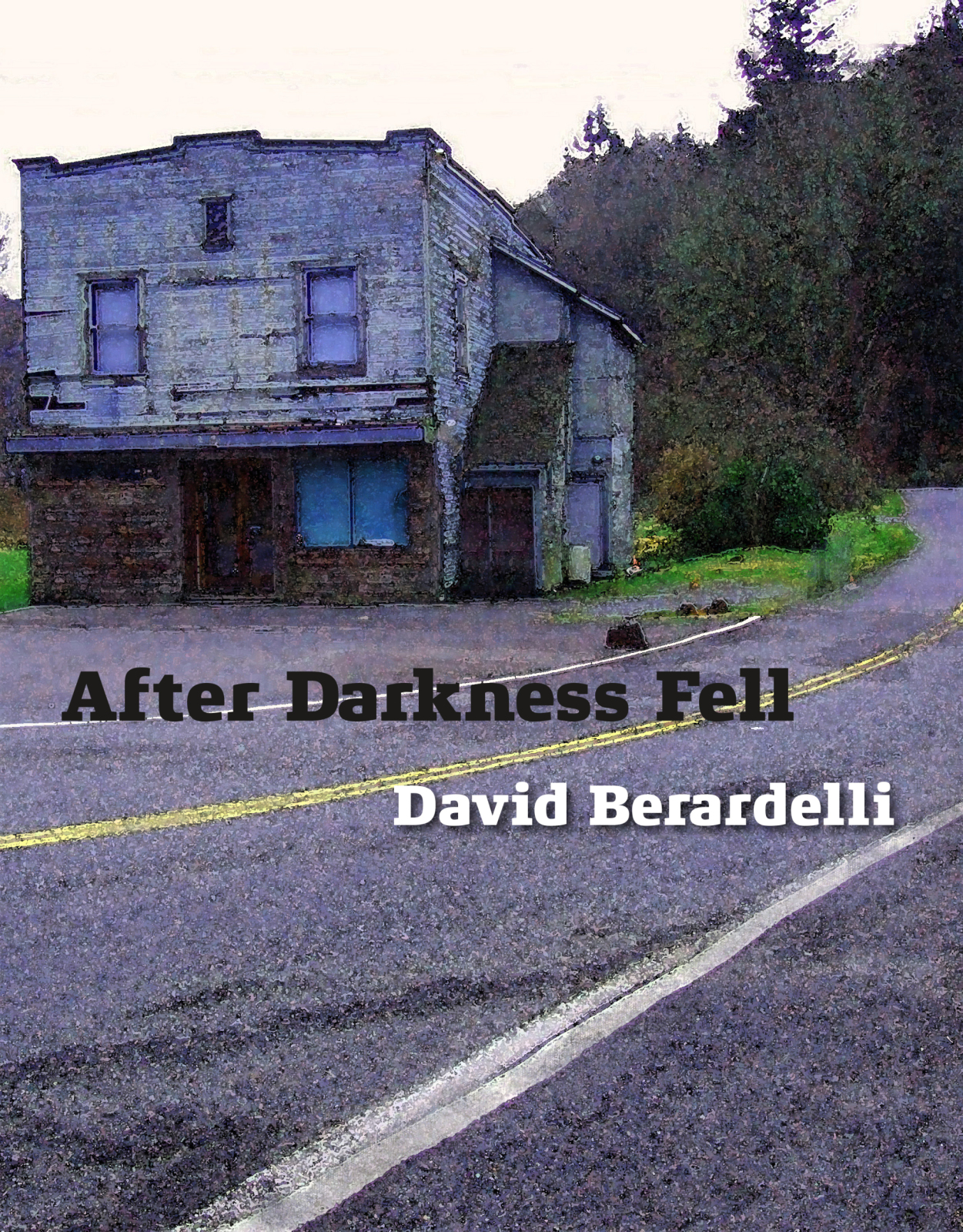 After Darkness Fell (2014) by David Berardelli