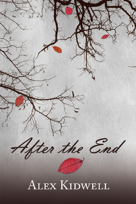 After the End by Alex Kidwell