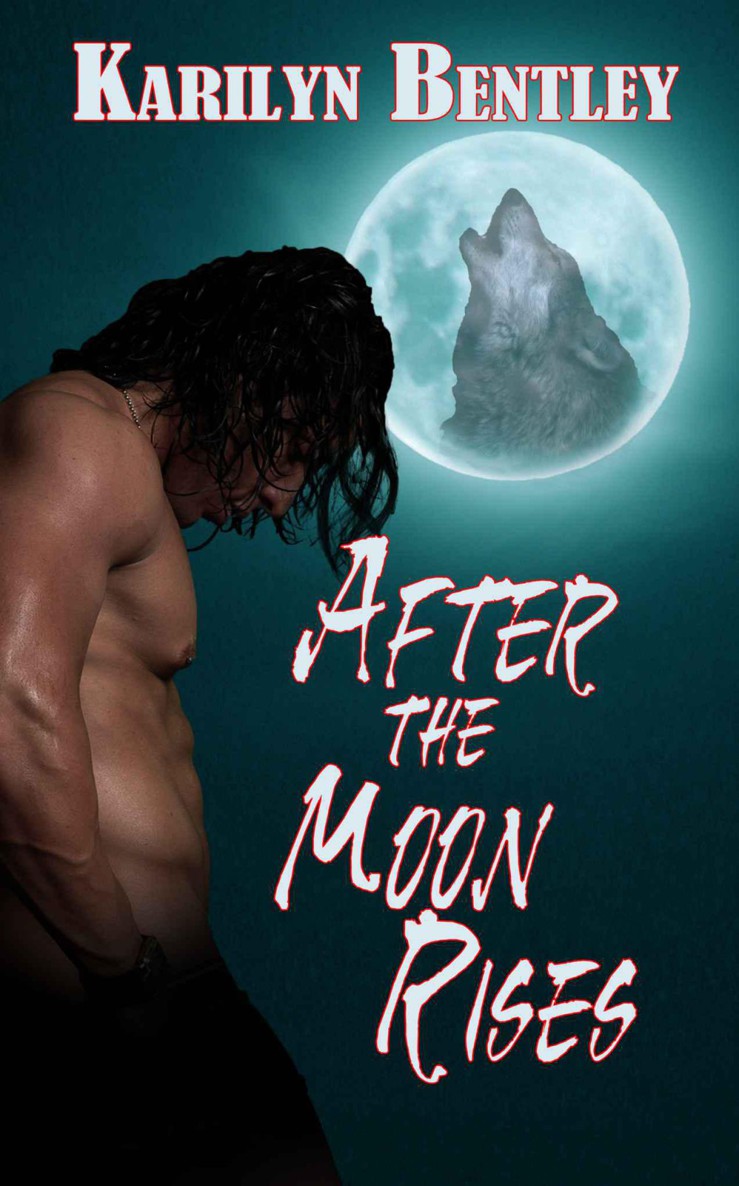 After the Moon Rises by Bentley, Karilyn