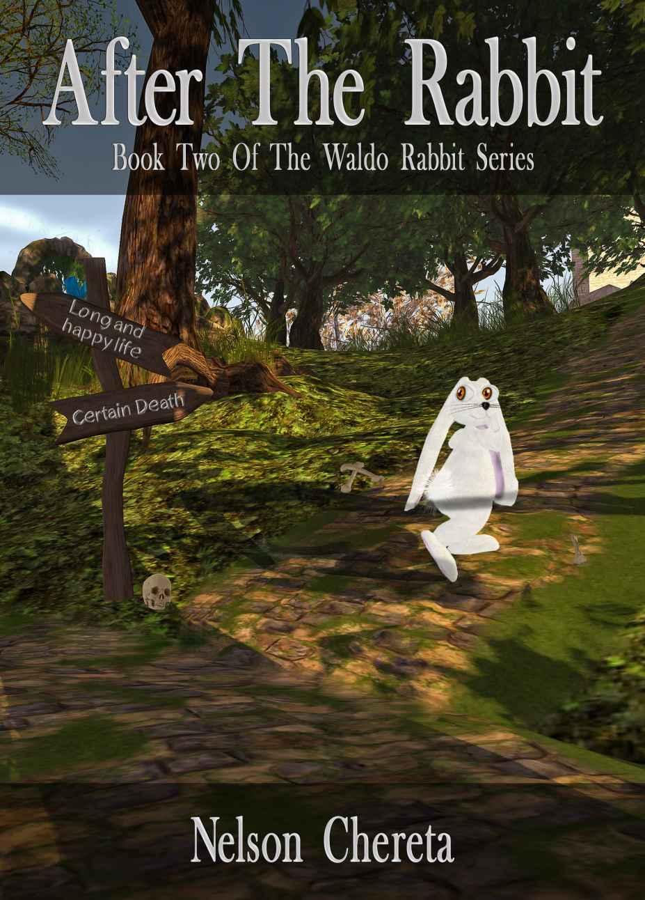 After The Rabbit (Waldo Rabbit Series)