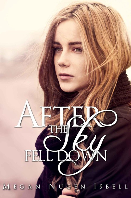 After the Sky Fell Down by Nugen Isbell, Megan