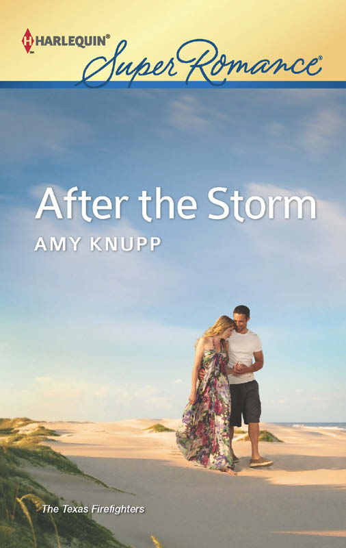 After the Storm (2012)