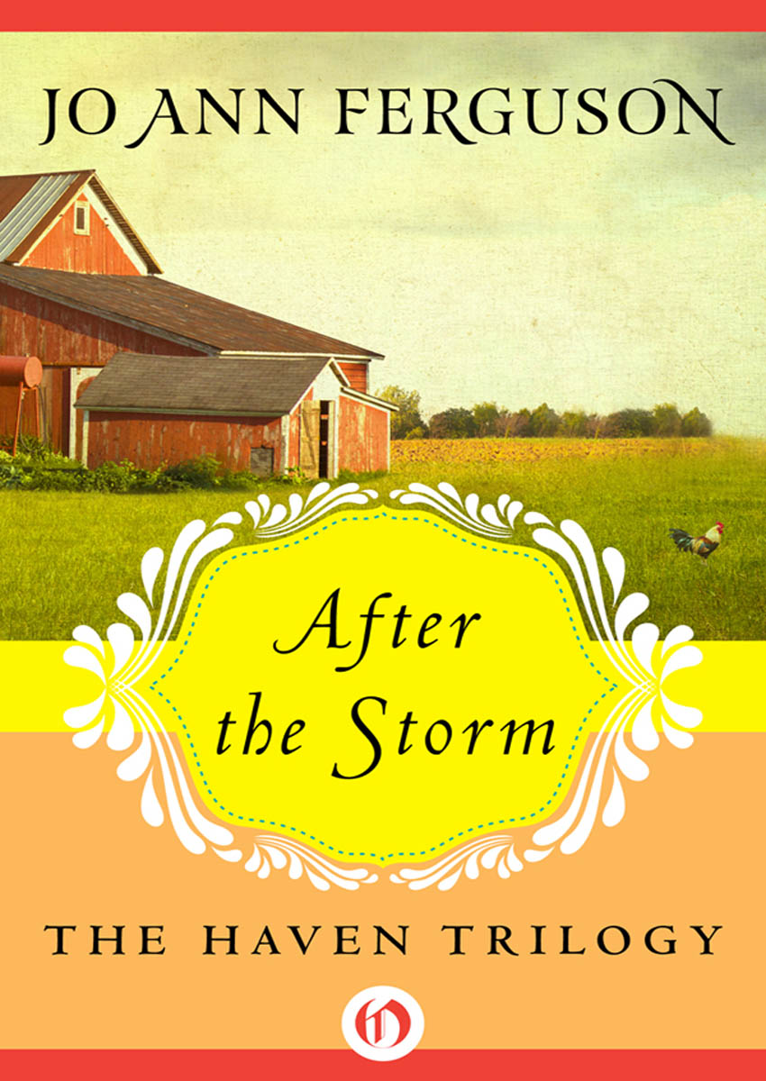 After the Storm by Jo Ann Ferguson