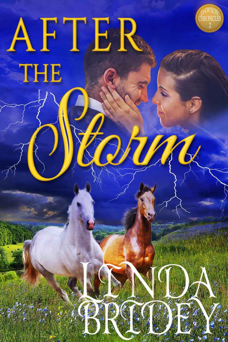 After the Storm: Clean Historical Western Cowboy Romance Novel (Dawson Chronicles Book 2) by Linda Bridey