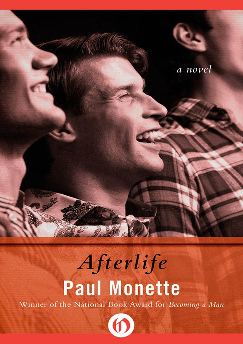 Afterlife by Paul Monette