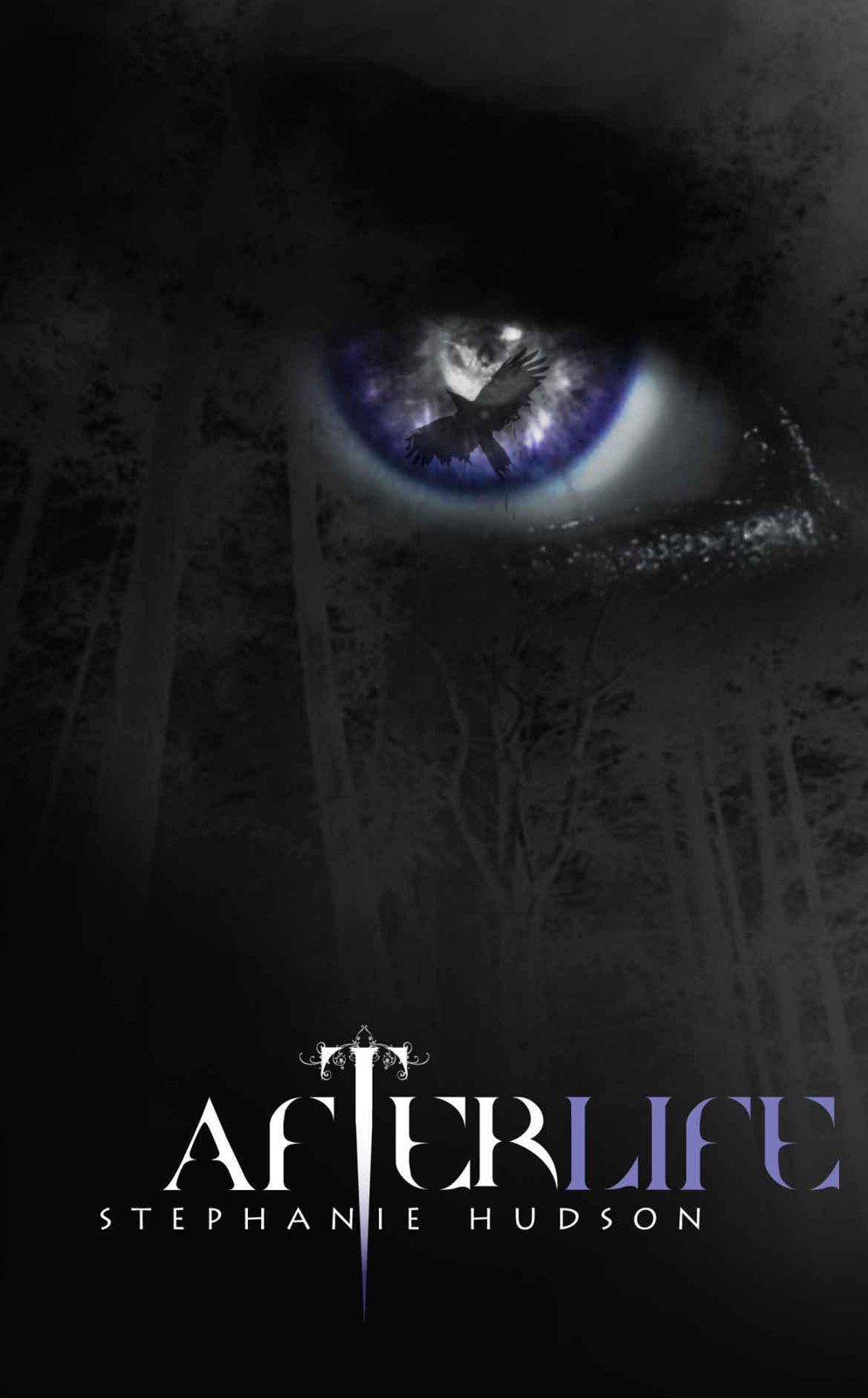 Afterlife (Afterlife Saga) by Hudson, Stephanie