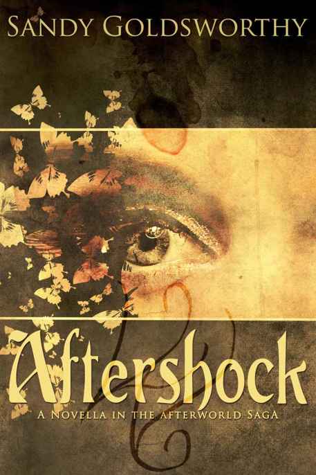 Aftershock by Sandy Goldsworthy