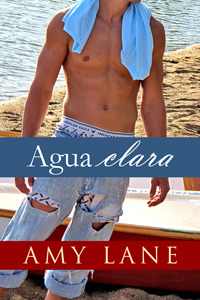 Agua clara (2014) by Amy Lane