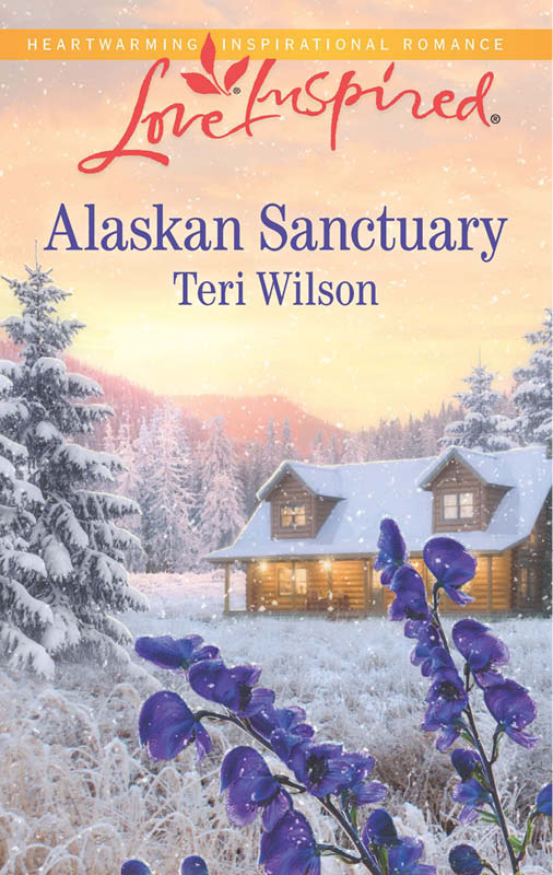 Alaskan Sanctuary by Teri Wilson