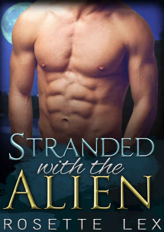 Alien Romance (Heavenly Mates Book 1)