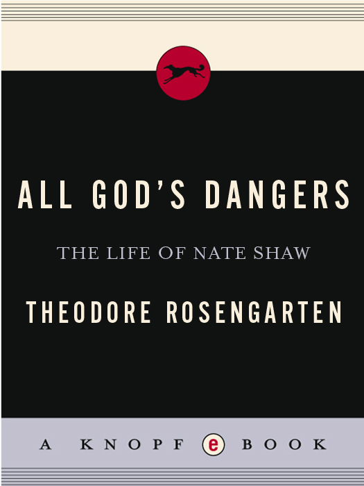 All God's Dangers (2013) by Theodore Rosengarten