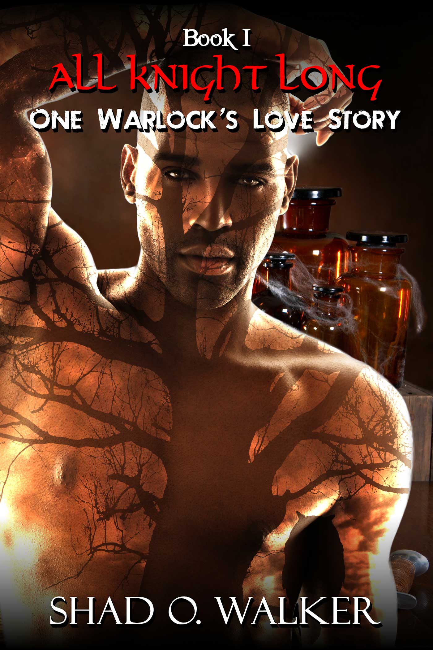 All Knight Long, Book I: One Warlock's Love Story (2013) by Shad O. Walker