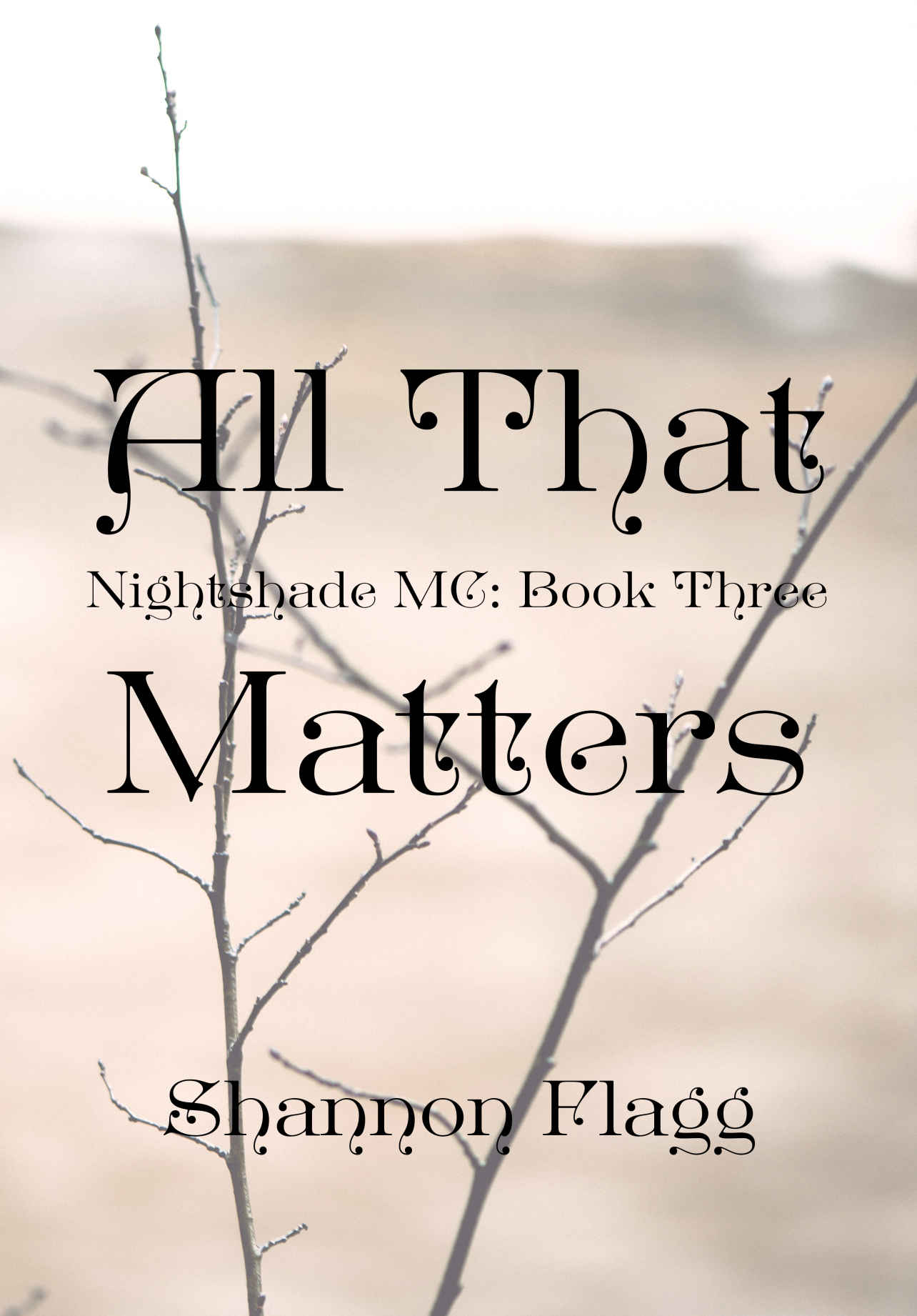 All That Matters (2015) by Flagg, Shannon