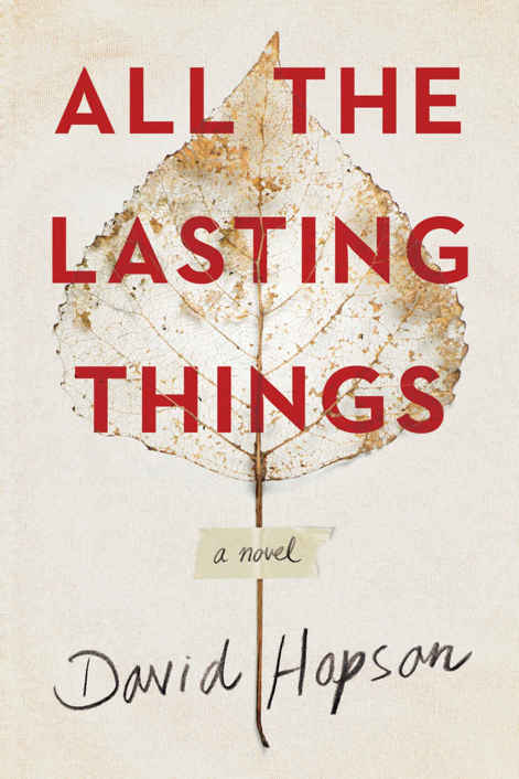 All the Lasting Things by David Hopson