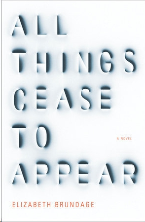 All Things Cease to Appear by Elizabeth Brundage