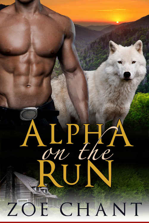 Alpha On the Run: A BBW Wolf Shifter Paranormal Romance