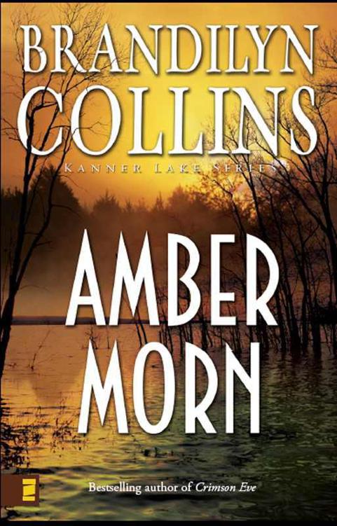 Amber Morn by Brandilyn Collins