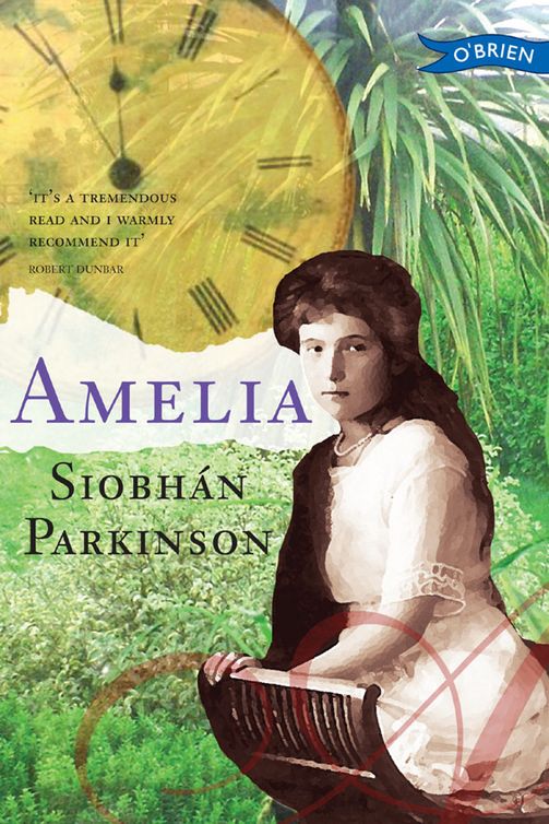 Amelia (2012) by Siobhán Parkinson