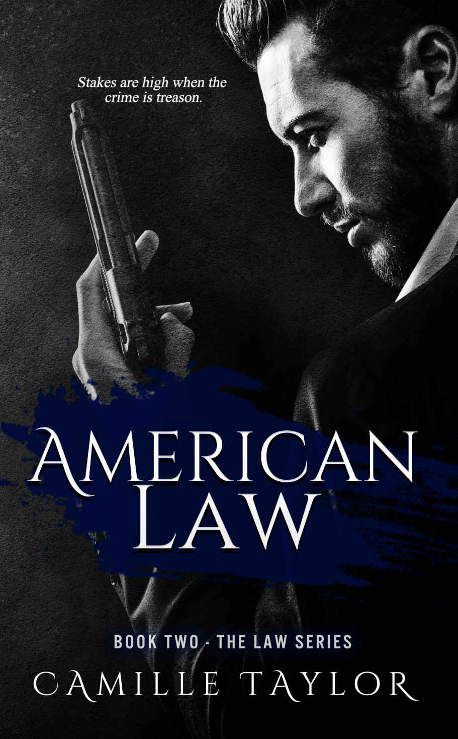 American Law (Law #2) by Camille Taylor