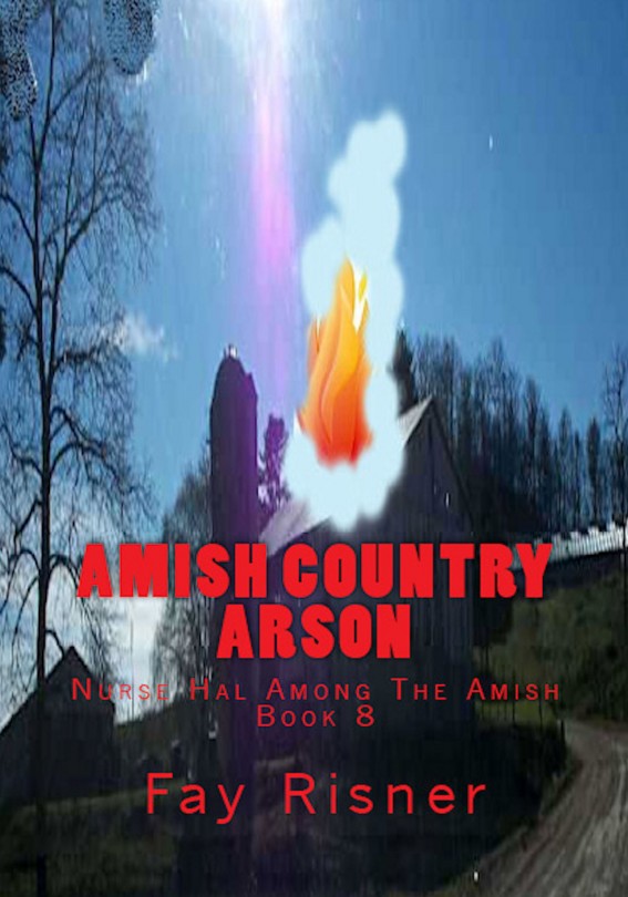 Amish Country Arson by Risner, Fay