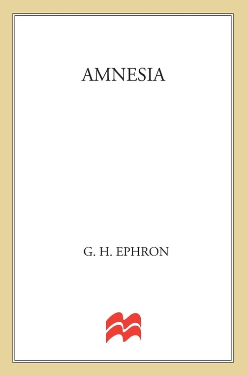 Amnesia (2011) by G. H. Ephron