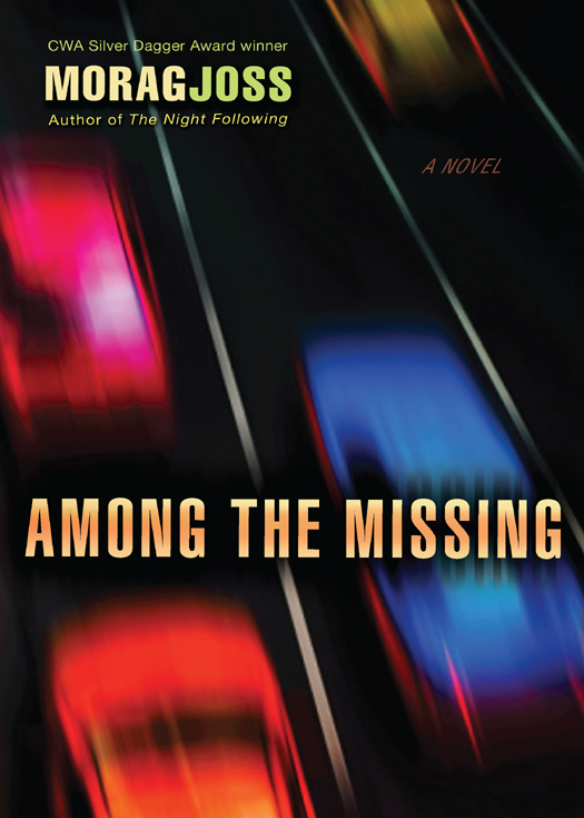 Among the Missing (2011) by Morag Joss