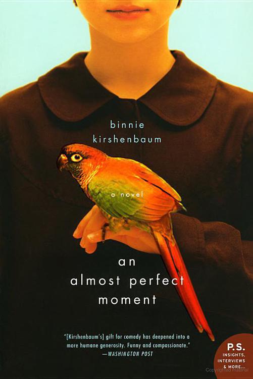 An Almost Perfect Moment by Binnie Kirshenbaum