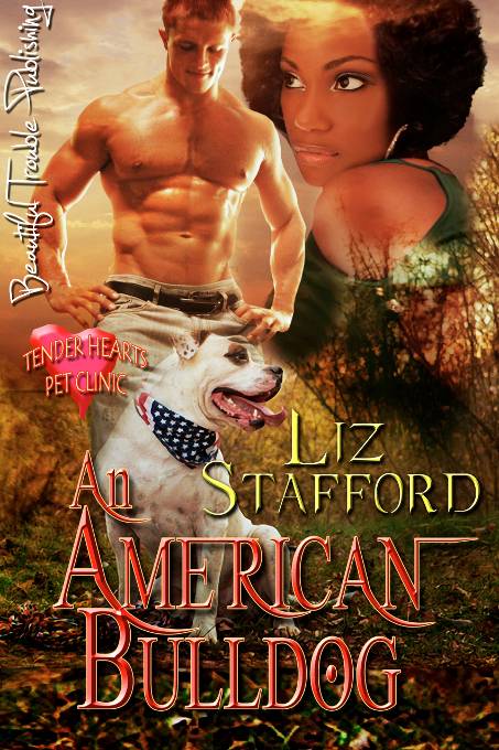 An American Bulldog by Liz Stafford