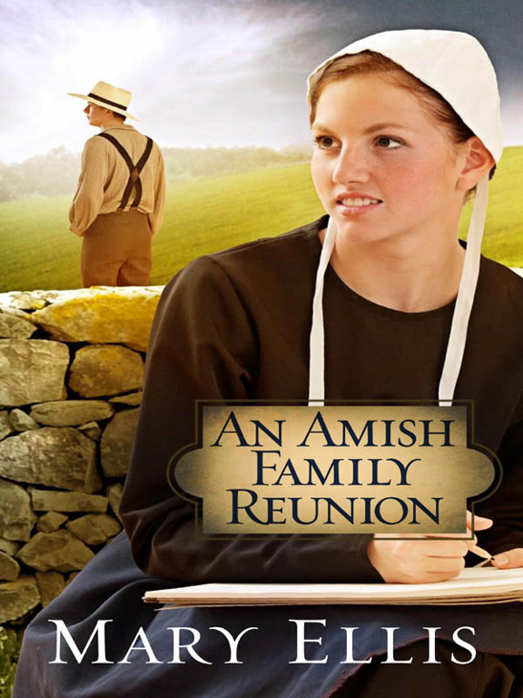 An Amish Family Reunion by Mary  Ellis