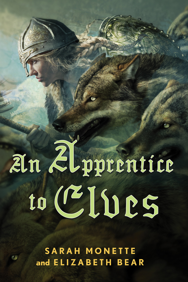 An Apprentice to Elves by Elizabeth Bear