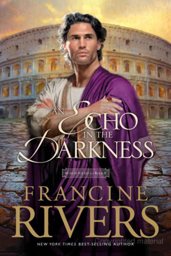 An Echo in the Darkness by Rivers, Francine