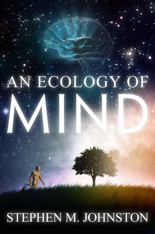 An Ecology of MInd by Johnston, Stephen