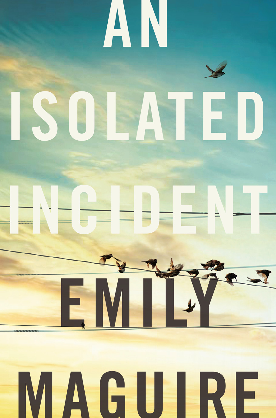 An Isolated Incident (2016) by Emily Maguire