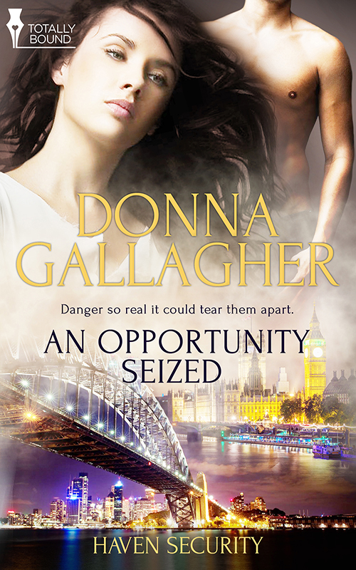 An Opportunity Seized (2015)