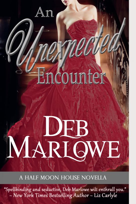 An Unexpected Encounter ( Half Moon House, Novella 1) by Deb Marlowe