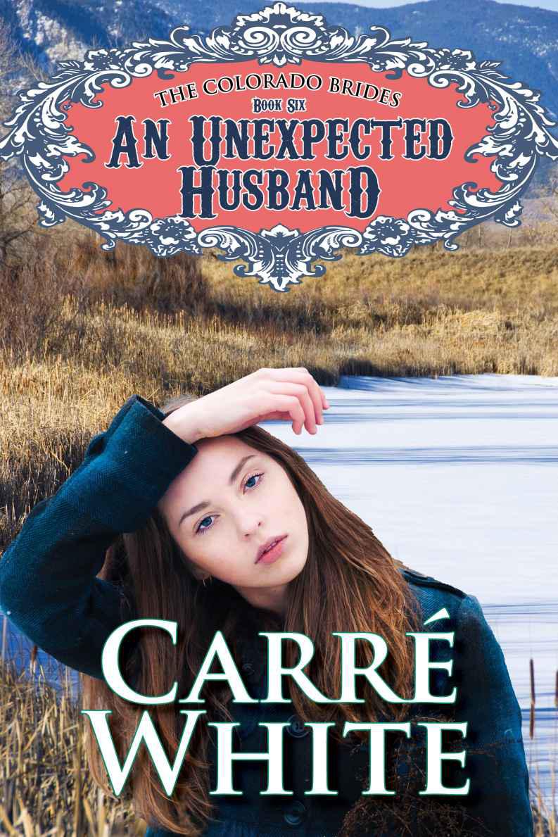 An Unexpected Husband (The Colorado Brides Series)