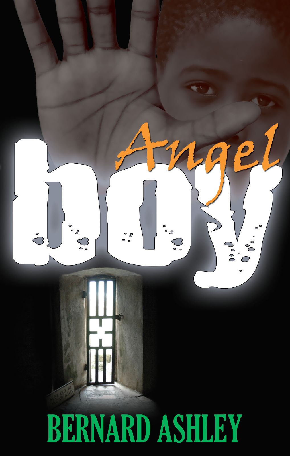 Angel Boy (2008) by Bernard Ashley