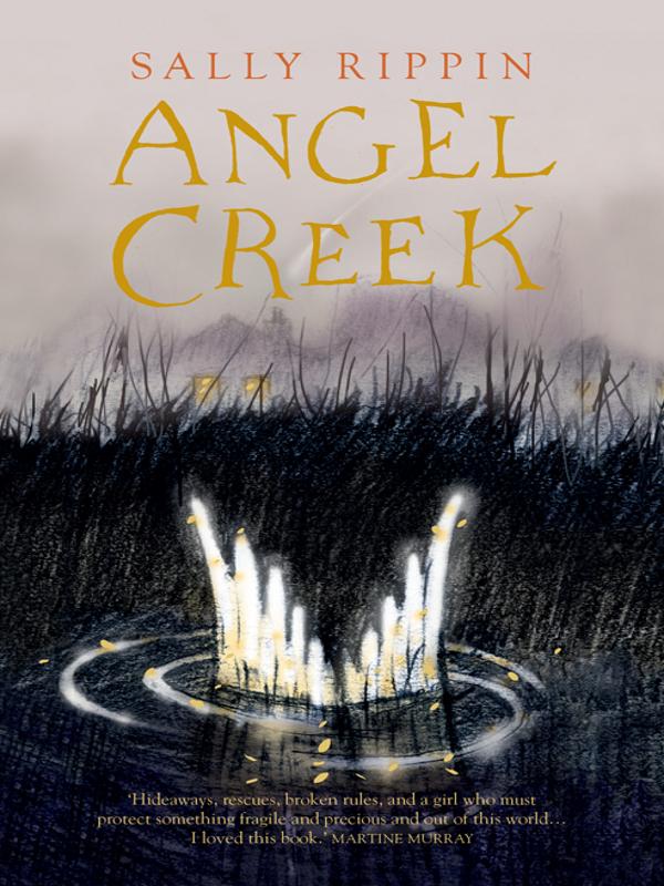 Angel Creek (2011) by Sally Rippin