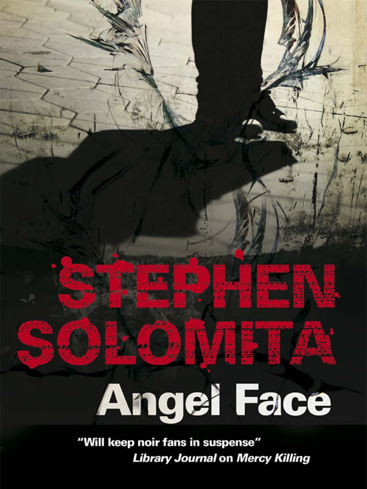 Angel Face (2011) by Stephen Solomita